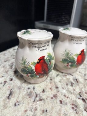 Christmas Cardinal Salt & Pepper Shakers